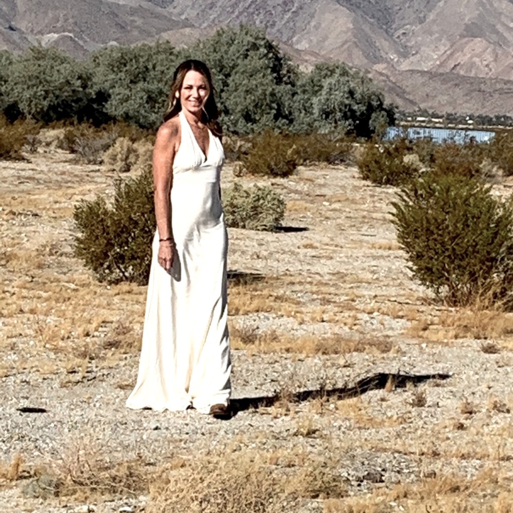 J Crew Allegra Wedding dress